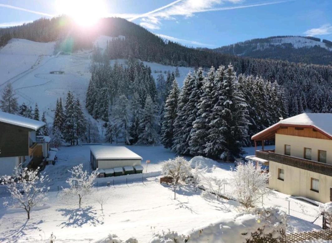 Appartements MAGLOV Bad Kleinkirchheim Extérieur photo